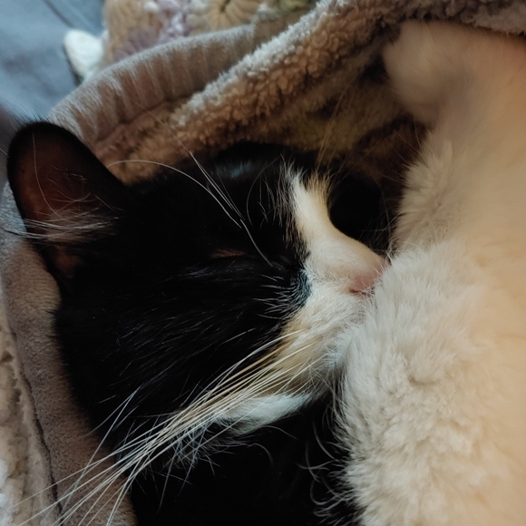 Lazy TV day๐๐บ ๐ - Picture 10 of 16